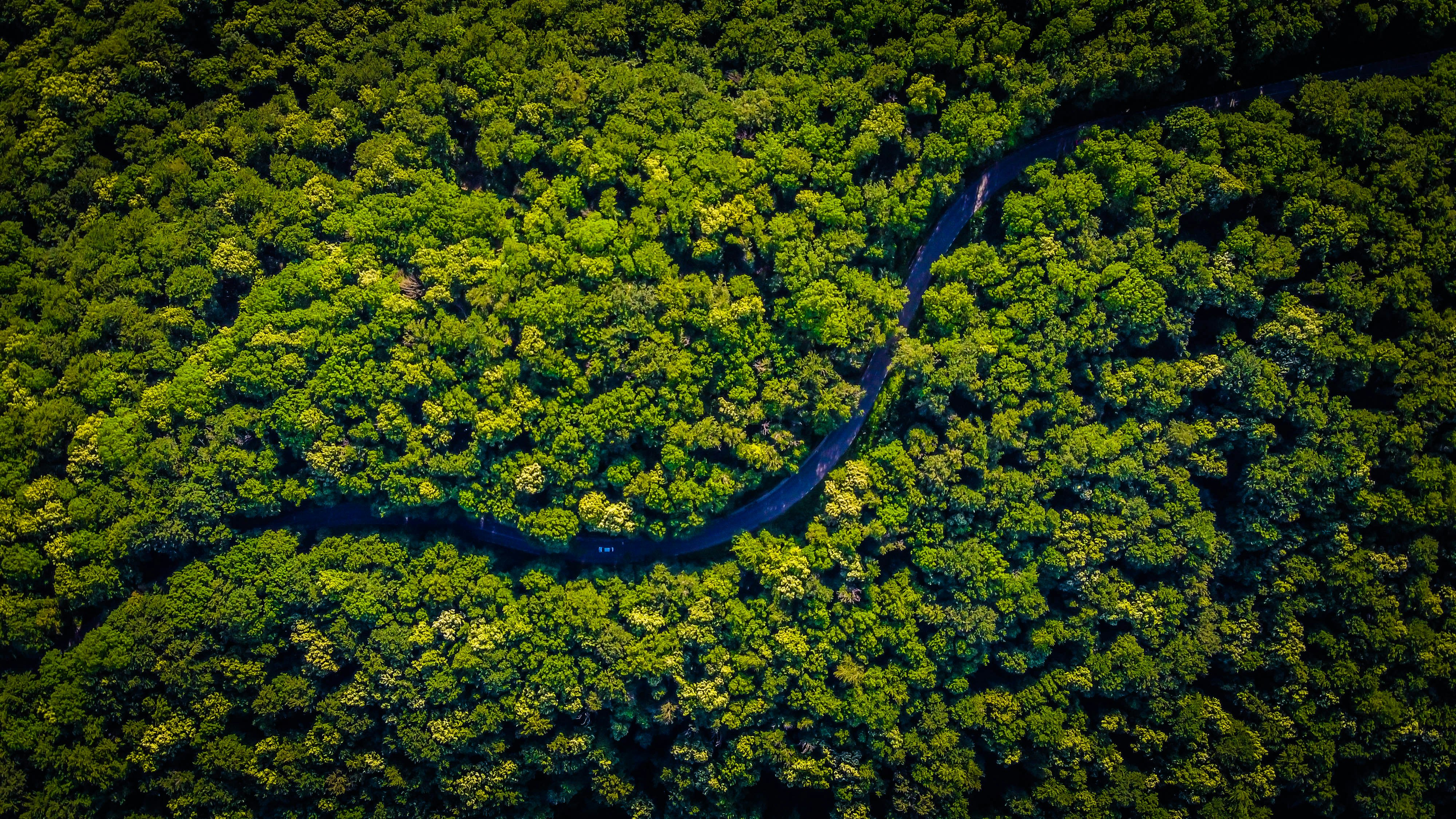 Vlad Hilitanu Pt7qzb4zlww Unsplash